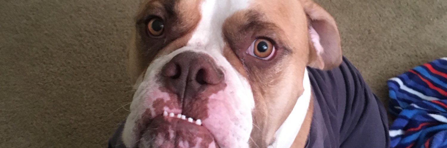 genesisdt_'s profile banner image