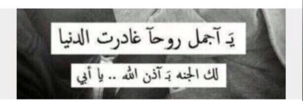 khalid_qa11's profile banner image