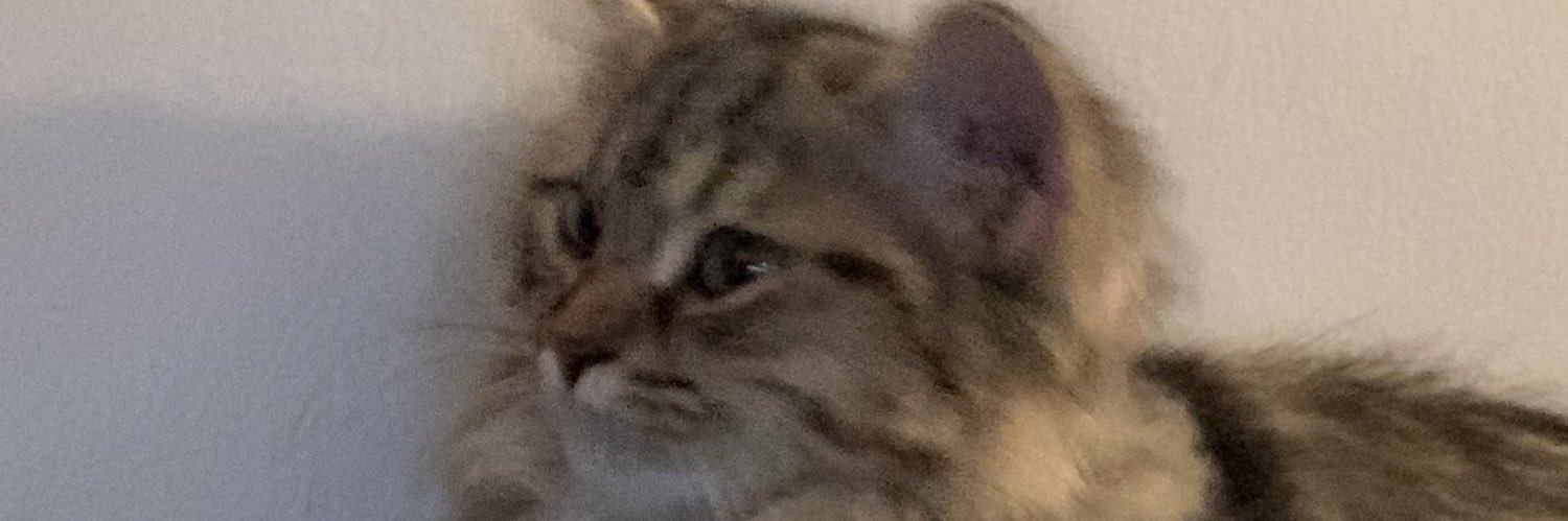 shmadealba's profile banner image