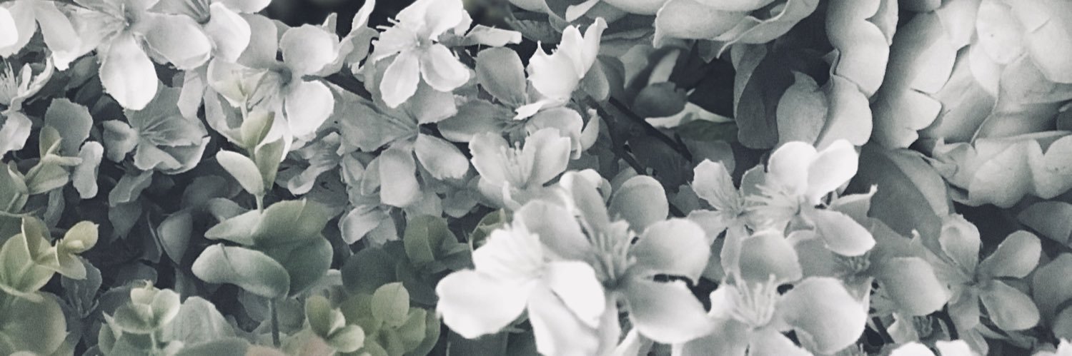 Sporkypants's profile banner image