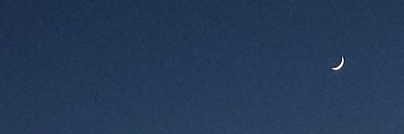 carliczyk's profile banner image