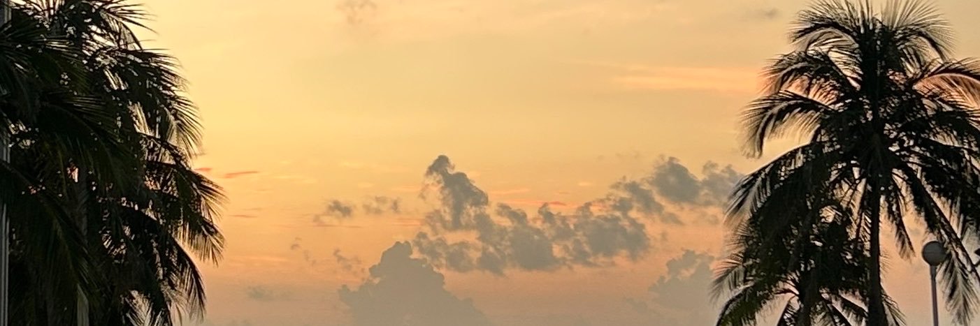 gabscods's profile banner image