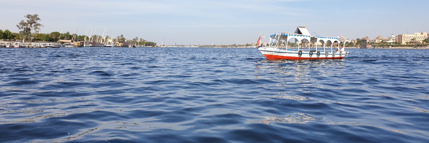 Camilla Di Biase-Dyson banner