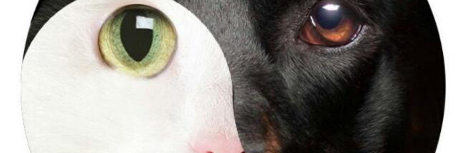 marrybarba's profile banner image