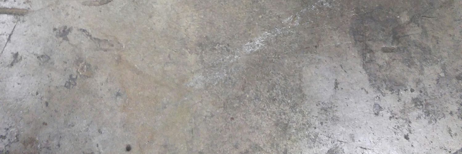 avalanse's profile banner image