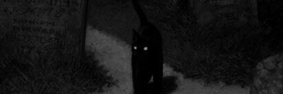 pripripry's profile banner image