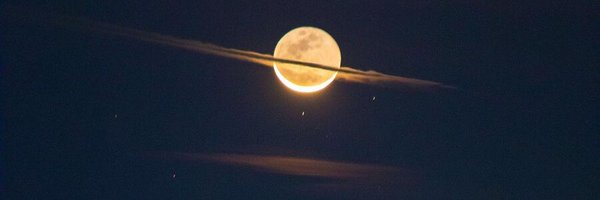 no_Mouseland Profile Banner