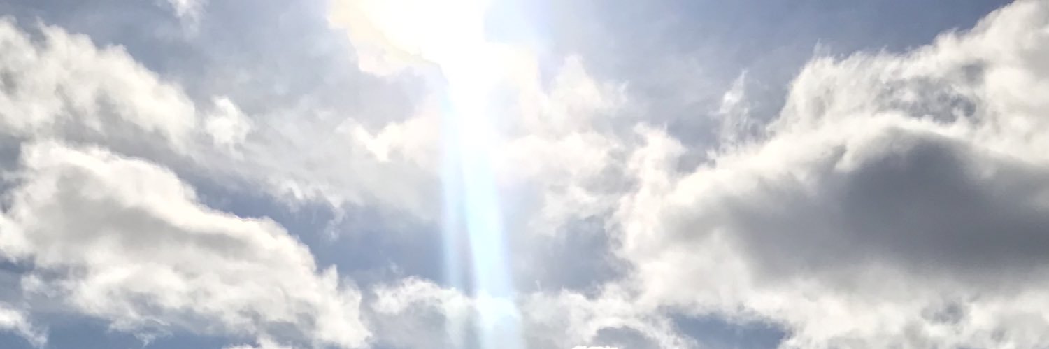 arinkogenky's profile banner image