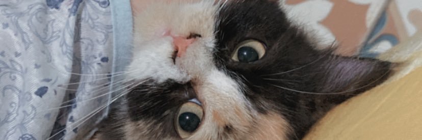 nandaantikas's profile banner image