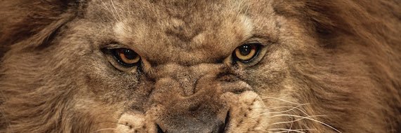 tatebrown12's profile banner image