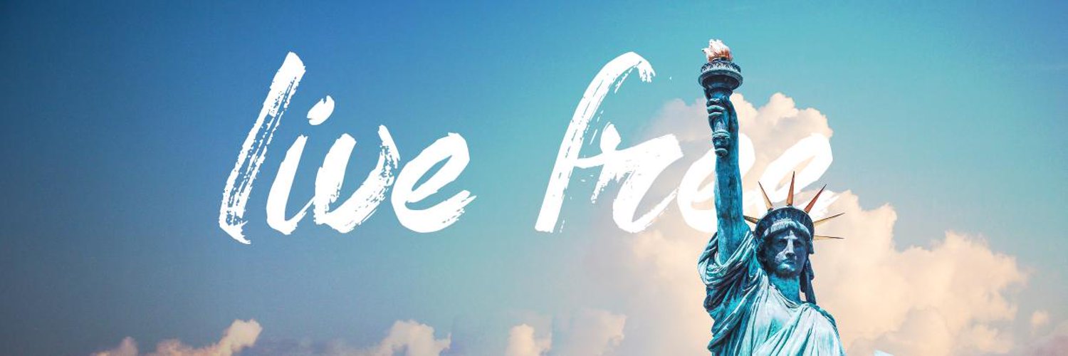 The Libertarian Party banner