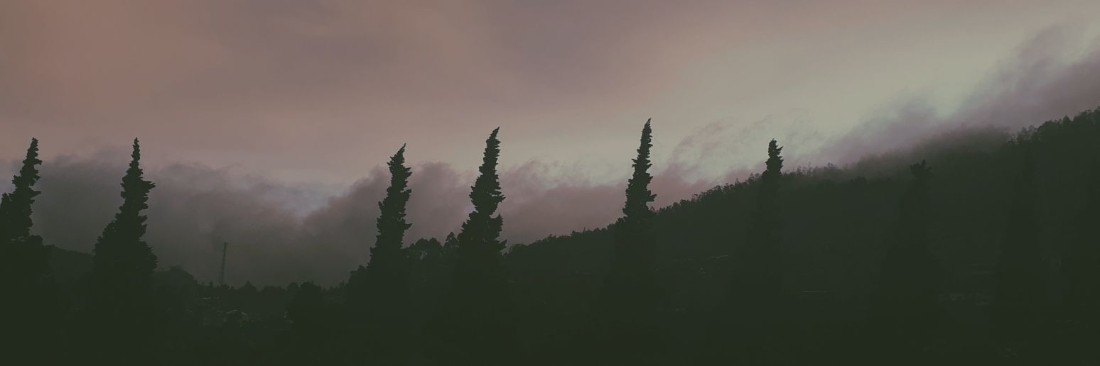 tassmerahh's profile banner image