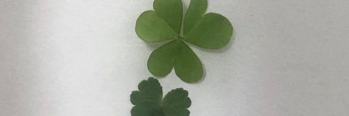 uyulixx's profile banner image