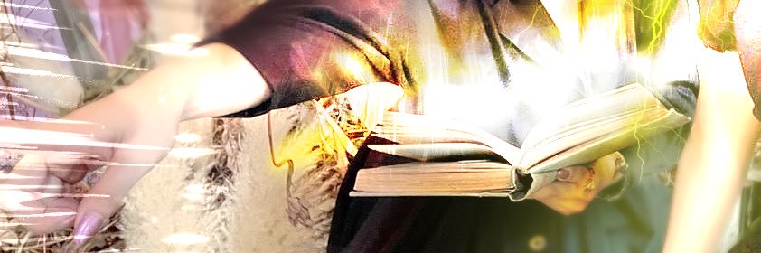 mocolukako's profile banner image