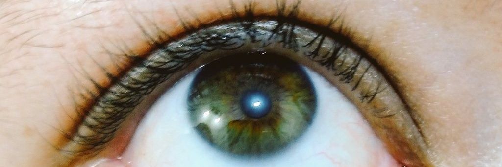 Julián Gil G. banner