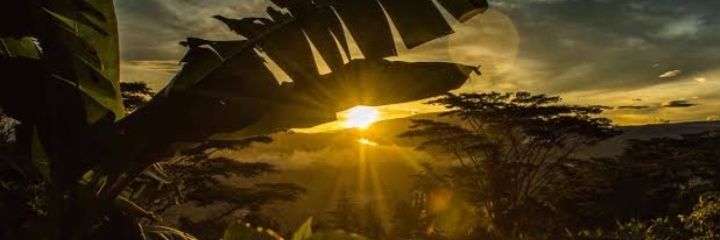 jairofernandezf's profile banner image