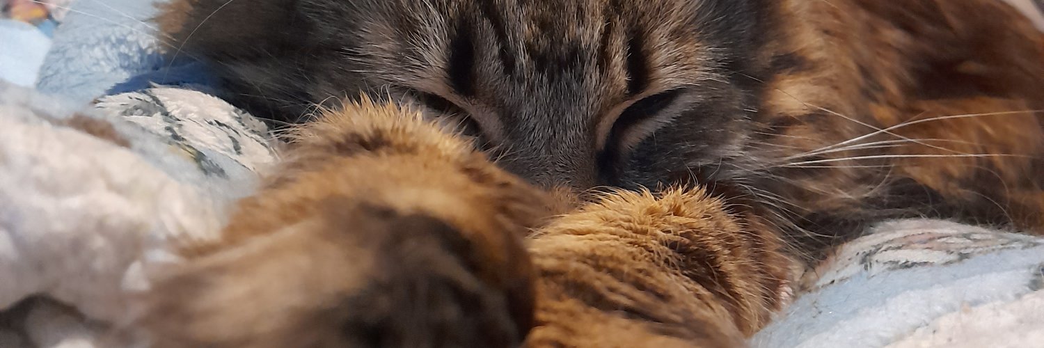 ashjohnston65's profile banner image