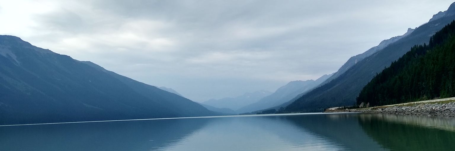 thequeerfan's profile banner image