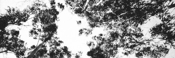 rbrt_fgl Profile Banner