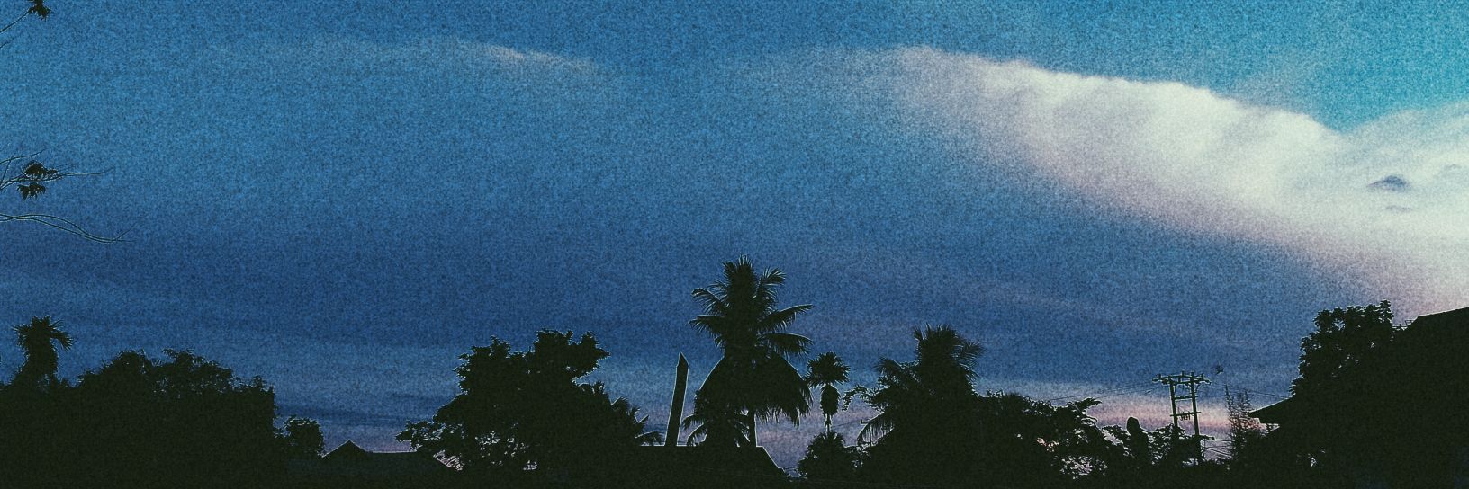 nikugy's profile banner image