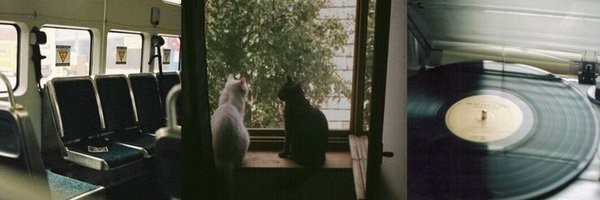 misocvp Profile Banner