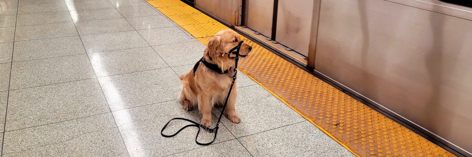 PTSD Service Dog banner
