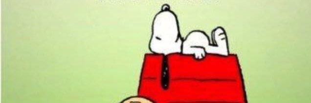 Paul Connolly banner