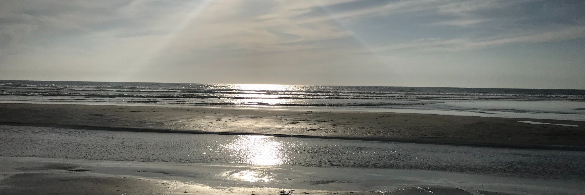 strendley's profile banner image