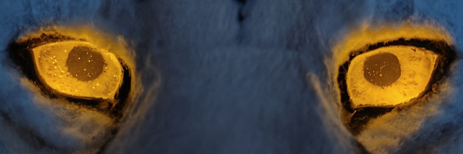 Ransu banner