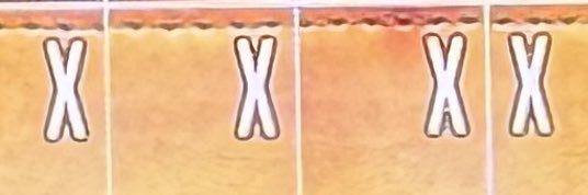 stupidobvious's profile banner image