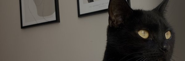 Courtney Profile Banner