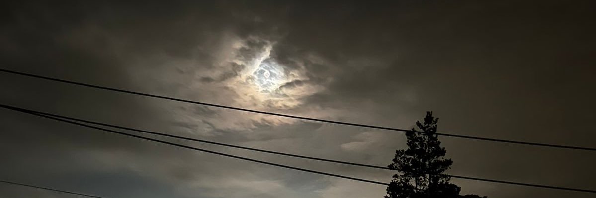 joceCarrillo98's profile banner image
