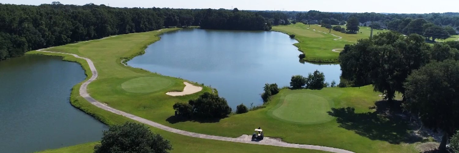 ChathamCountyGA banner