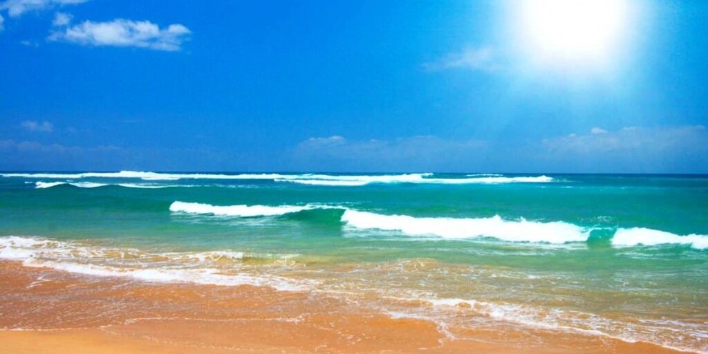 lifesabeach77's profile banner image