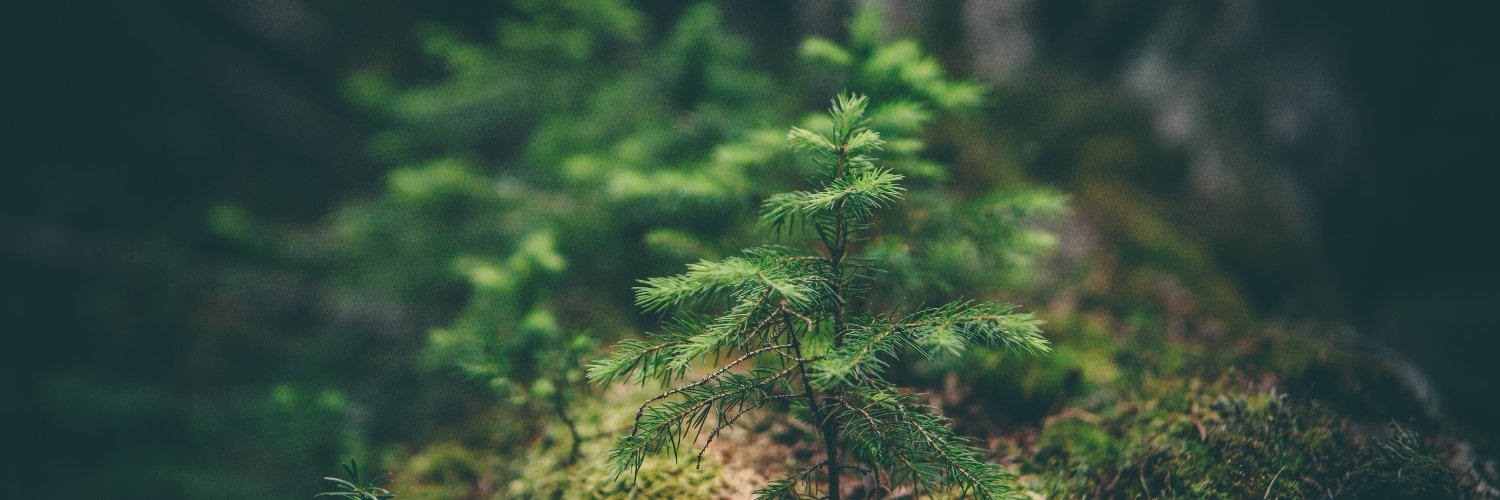 ACE Centre for Adapting to Changing Environments banner