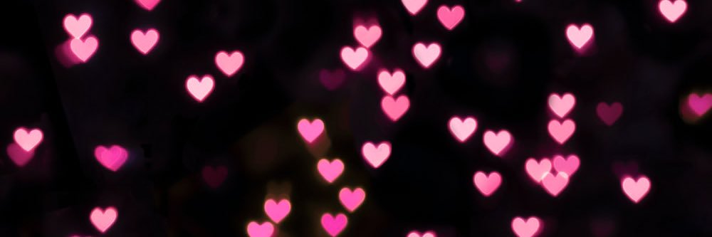 Sare_bearr's profile banner image