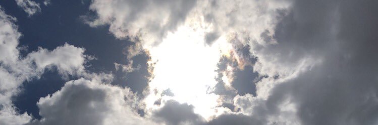 Georgie Leigh Dietz banner