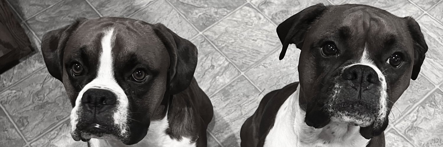 _sarahmadison's profile banner image
