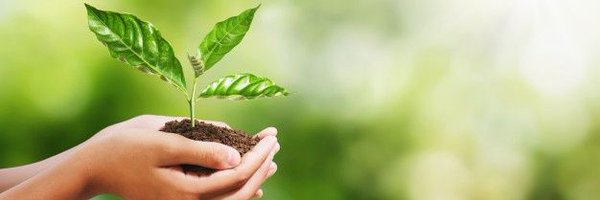 SEOcontenido Profile Banner