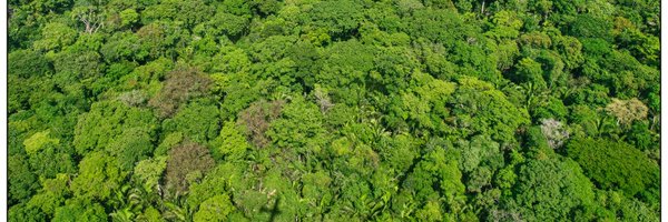 IberoCentrus Profile Banner