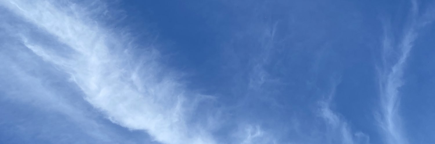 Nikita Bragança banner