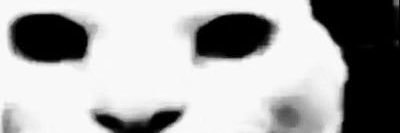 endingitall2's profile banner image