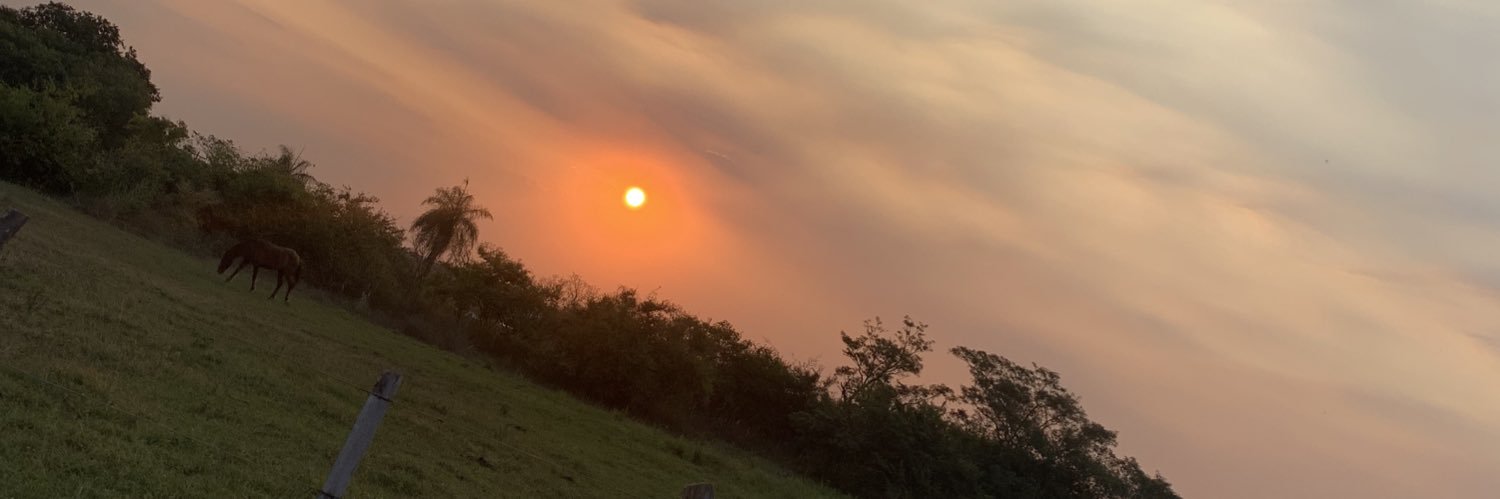 LujiTomassi's profile banner image