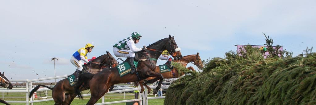 Equine Bio Genie banner