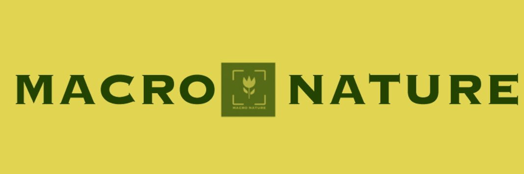 Macro Nature banner
