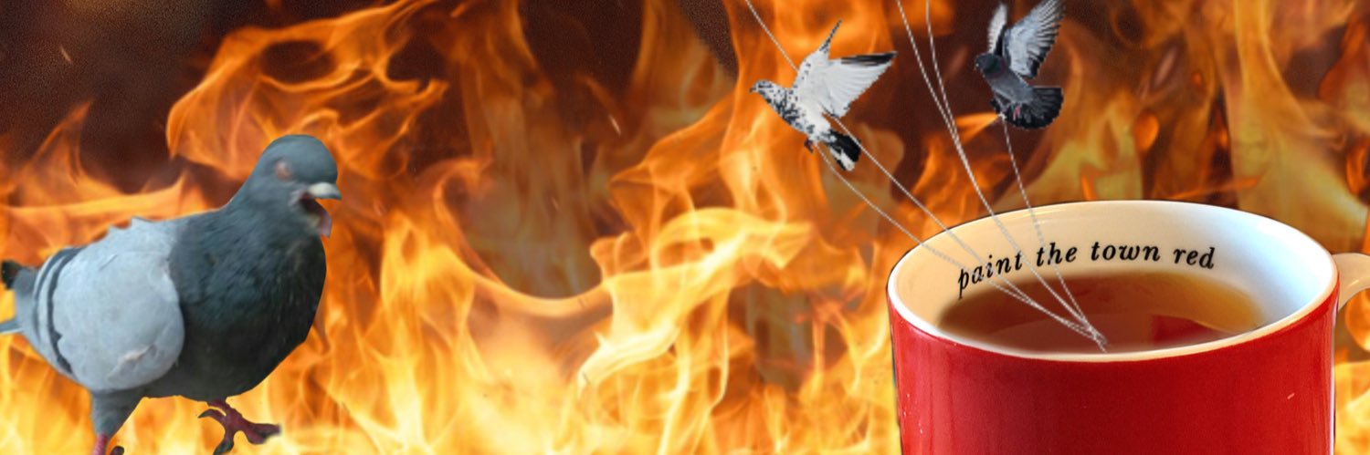 FroyFroyFroy's profile banner image