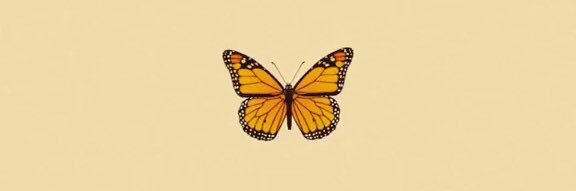 alwaysyou28hl's profile banner image