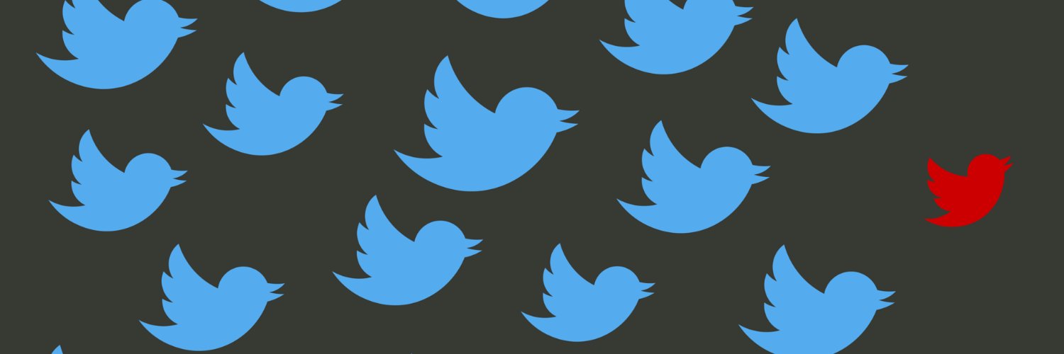 Erwin Kooijman banner