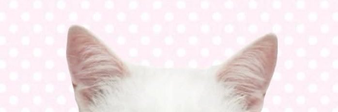 333bullets's profile banner image