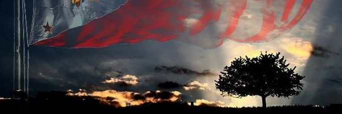 phpgtwit's profile banner image